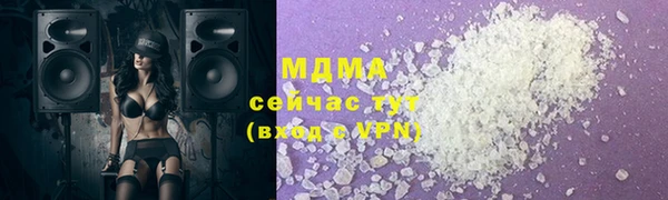 шишки Верея